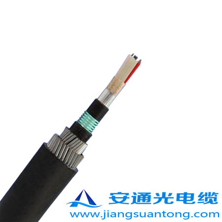 GYTA53-333|,OPPC|SADSS|r(ji)24оOPGW|