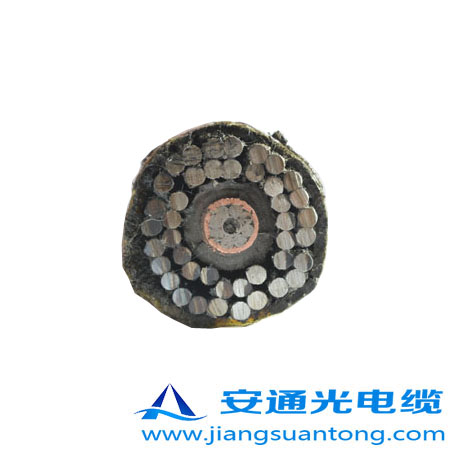 GYTA53-333|,OPPC|SADSS|r(ji)24оOPGW|